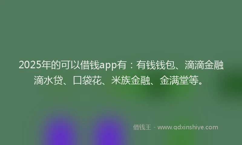 2025年的可以借钱app有：有钱钱包、滴滴金融滴水贷、口袋花、米族金融、金满堂等。