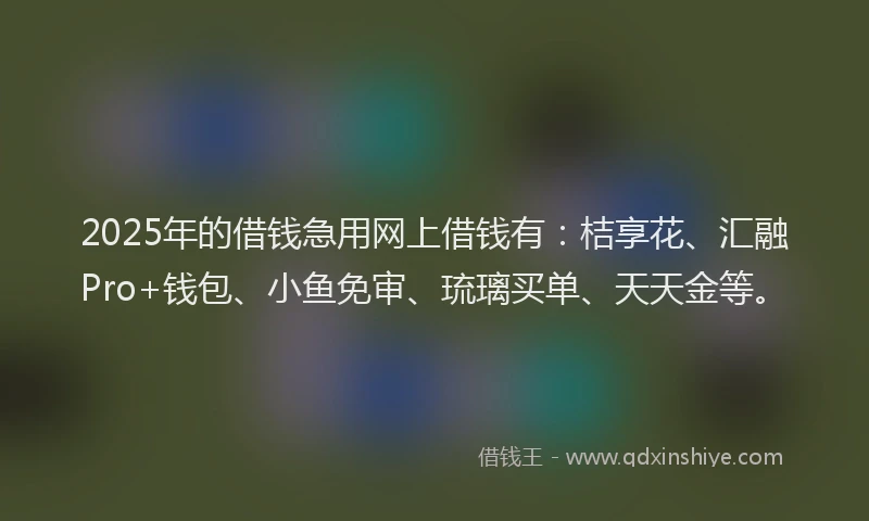 2025年的借钱急用网上借钱有：桔享花、汇融Pro+钱包、小鱼免审、琉璃买单、天天金等。