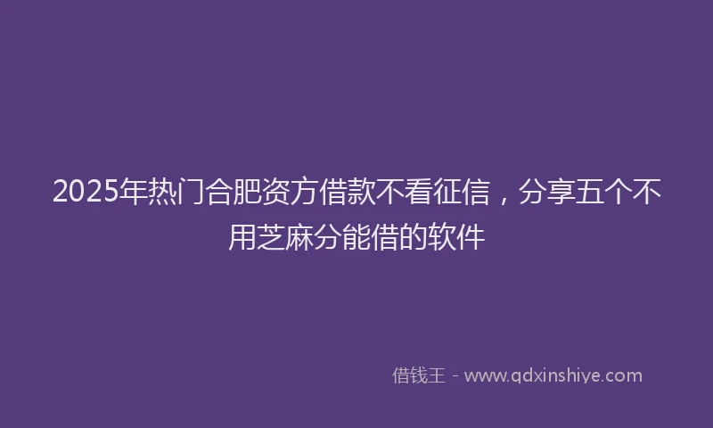 2025年热门合肥资方借款不看征信，分享五个不用芝麻分能借的软件