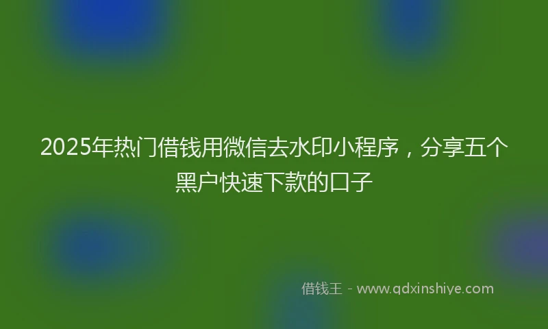2025年热门借钱用微信去水印小程序，分享五个黑户快速下款的口子