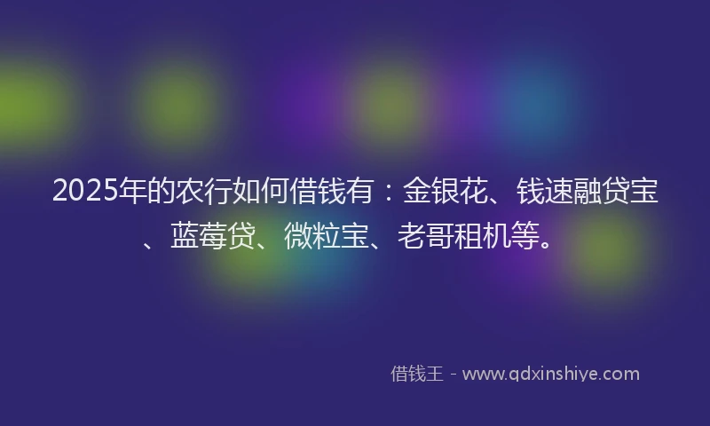 2025年的农行如何借钱有：金银花、钱速融贷宝、蓝莓贷、微粒宝、老哥租机等。