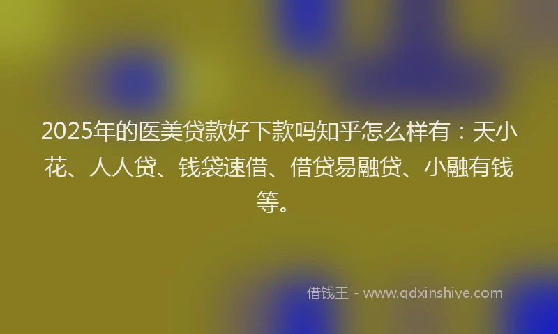 2025年的医美贷款好下款吗知乎怎么样有：天小花、人人贷、钱袋速借、借贷易融贷、小融有钱等。