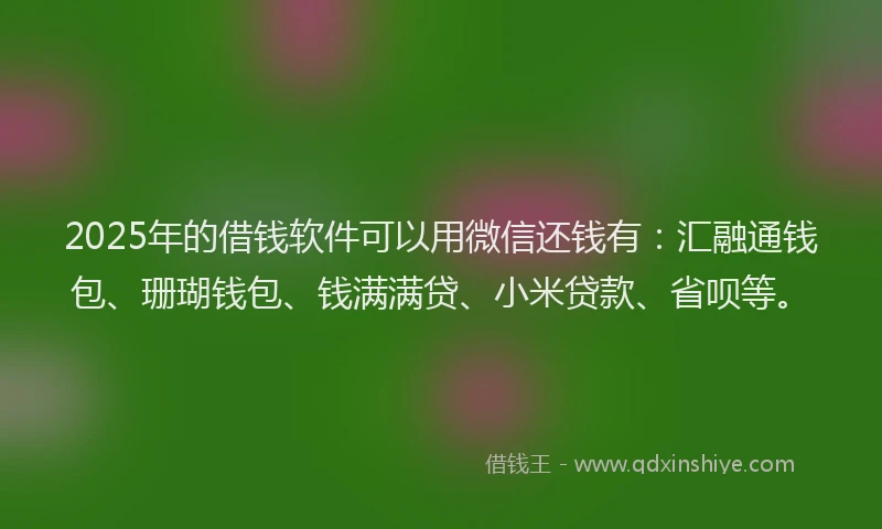 2025年的借钱软件可以用微信还钱有：汇融通钱包、珊瑚钱包、钱满满贷、小米贷款、省呗等。