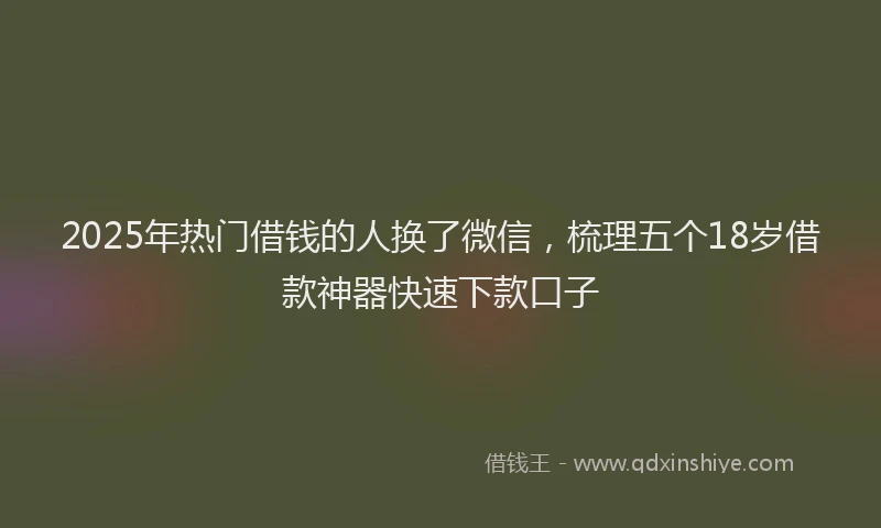2025年热门借钱的人换了微信，梳理五个18岁借款神器快速下款口子