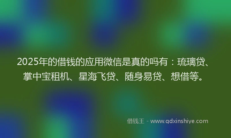 2025年的借钱的应用微信是真的吗有：琉璃贷、掌中宝租机、星海飞贷、随身易贷、想借等。