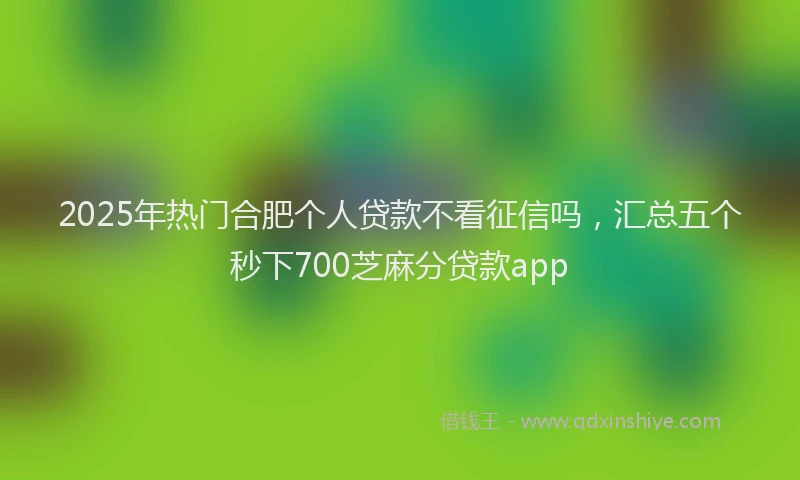 2025年热门合肥个人贷款不看征信吗，汇总五个秒下700芝麻分贷款app