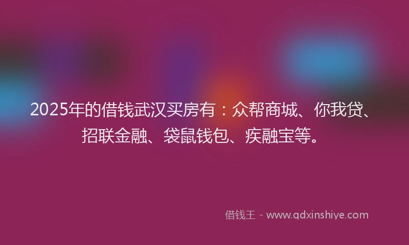 2025年的借钱武汉买房有：众帮商城、你我贷、招联金融、袋鼠钱包、疾融宝等。