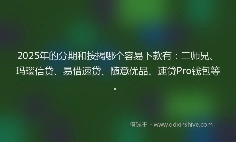 2025年的分期和按揭哪个容易下款有：二师兄、玛瑙信贷、易借速贷、随意优品、速贷Pro钱包等。