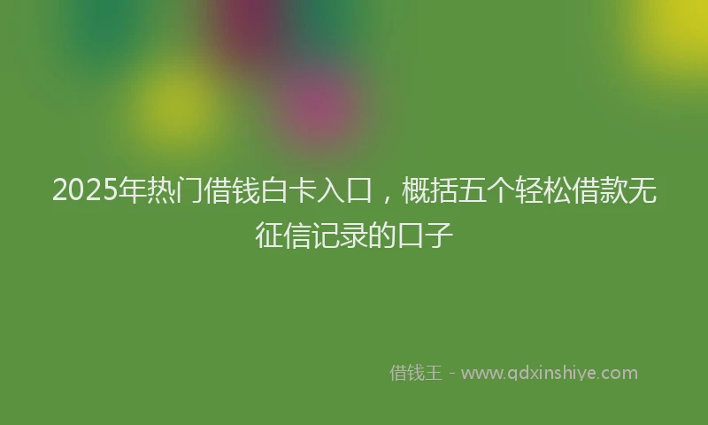 2025年热门借钱白卡入口，概括五个轻松借款无征信记录的口子