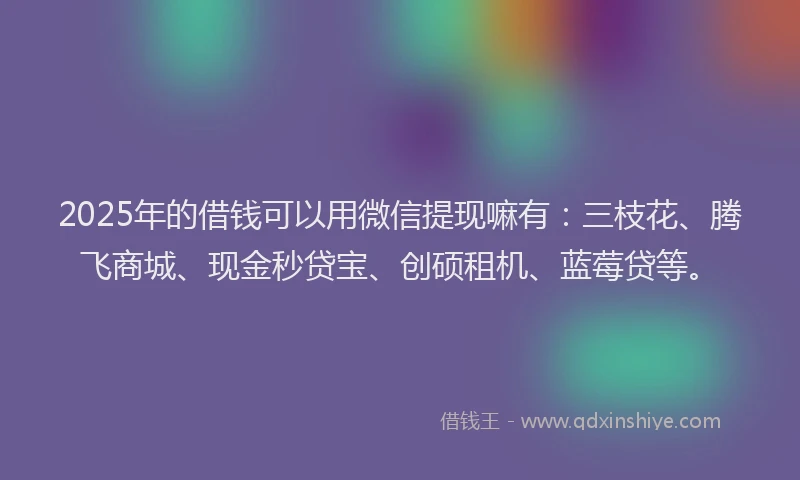 2025年的借钱可以用微信提现嘛有：三枝花、腾飞商城、现金秒贷宝、创硕租机、蓝莓贷等。