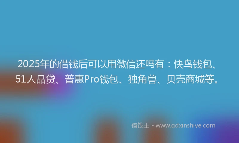 2025年的借钱后可以用微信还吗有：快鸟钱包、51人品贷、普惠Pro钱包、独角兽、贝壳商城等。