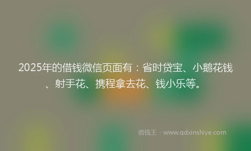 2025年的借钱微信页面有：省时贷宝、小鹅花钱、射手花、携程拿去花、钱小乐等。
