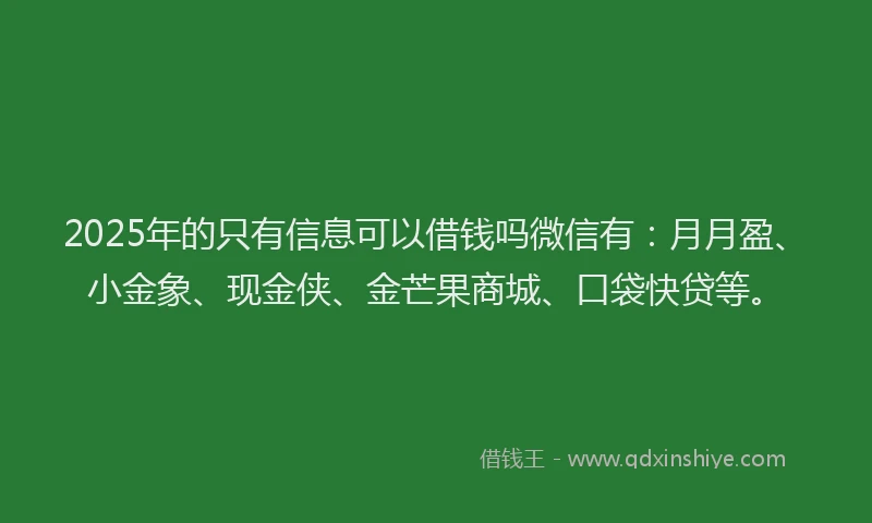 2025年的只有信息可以借钱吗微信有：月月盈、小金象、现金侠、金芒果商城、口袋快贷等。