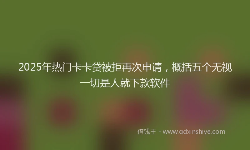 2025年热门卡卡贷被拒再次申请，概括五个无视一切是人就下款软件