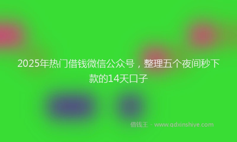 2025年热门借钱微信公众号，整理五个夜间秒下款的14天口子