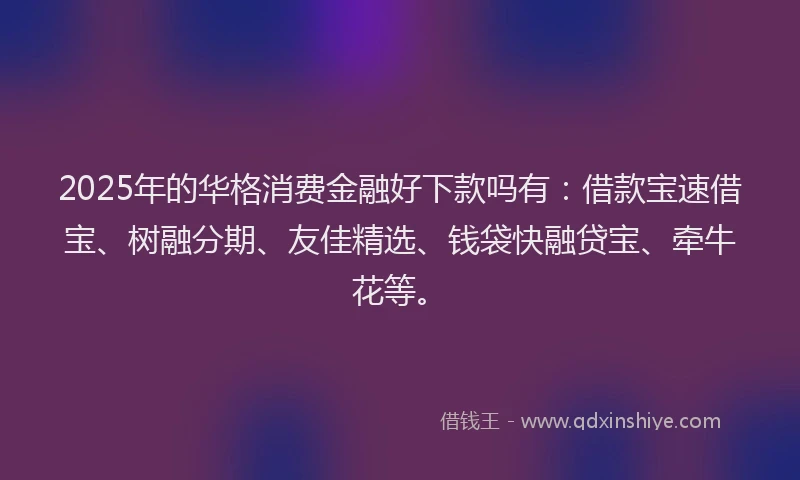 2025年的华格消费金融好下款吗有：借款宝速借宝、树融分期、友佳精选、钱袋快融贷宝、牵牛花等。