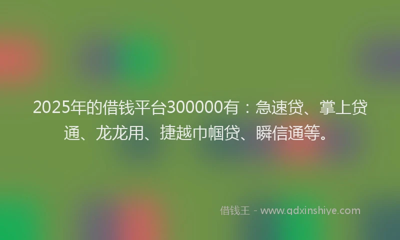 2025年的借钱平台300000有：急速贷、掌上贷通、龙龙用、捷越巾帼贷、瞬信通等。