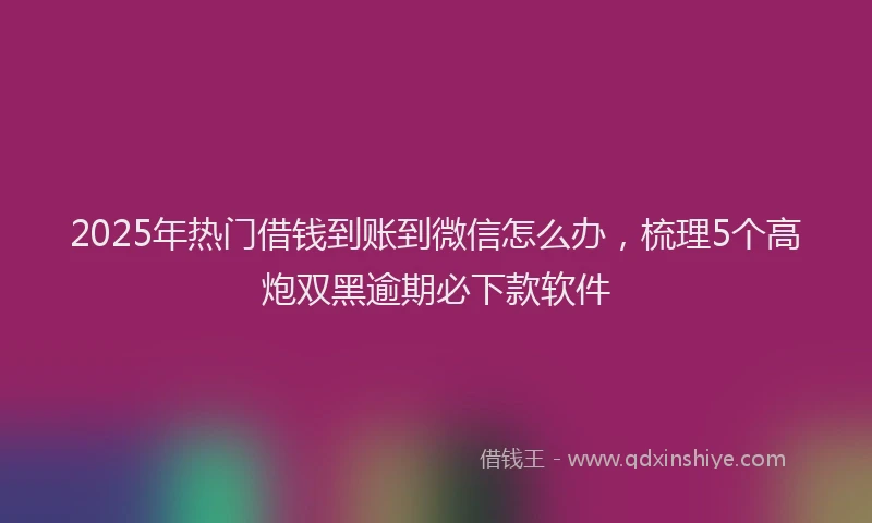 2025年热门借钱到账到微信怎么办，梳理5个高炮双黑逾期必下款软件