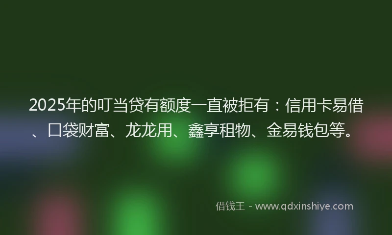 2025年的叮当贷有额度一直被拒有：信用卡易借、口袋财富、龙龙用、鑫享租物、金易钱包等。