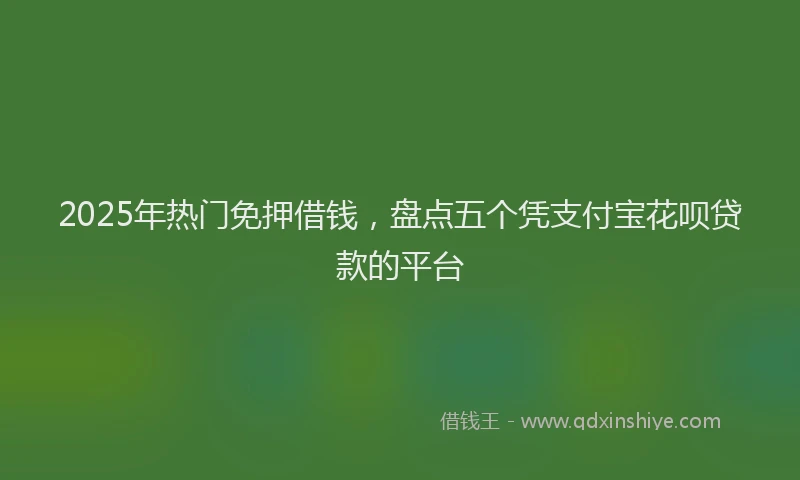 2025年热门免押借钱，盘点五个凭支付宝花呗贷款的平台