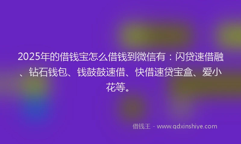 2025年的借钱宝怎么借钱到微信有：闪贷速借融、钻石钱包、钱鼓鼓速借、快借速贷宝盒、爱小花等。