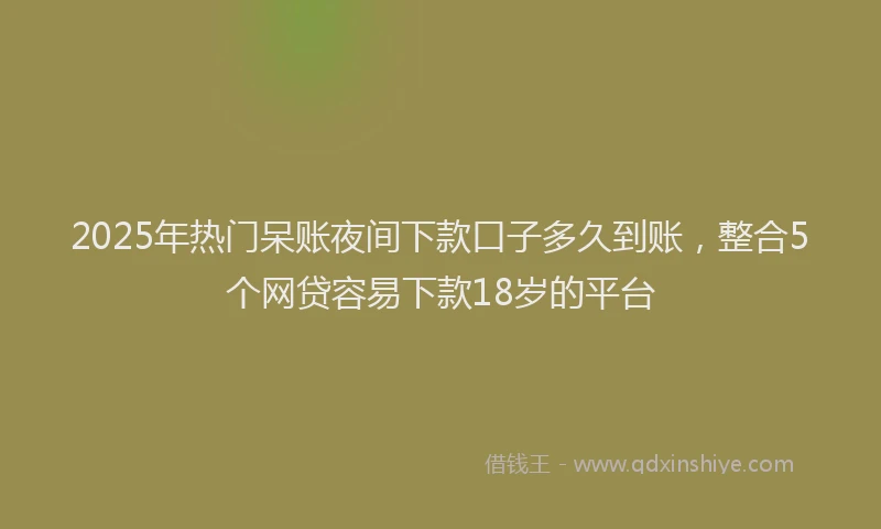 2025年热门呆账夜间下款口子多久到账，整合5个网贷容易下款18岁的平台