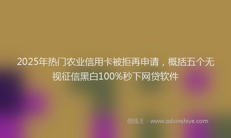 2025年热门农业信用卡被拒再申请，概括五个无视征信黑白100%秒下网贷软件