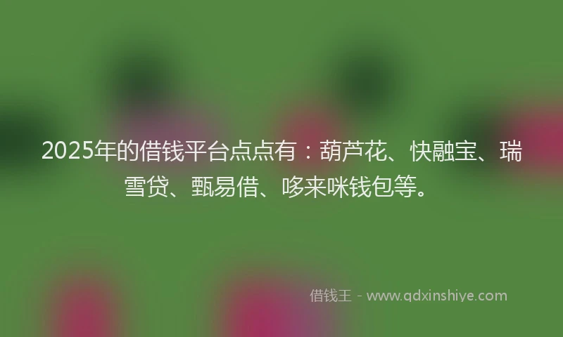 2025年的借钱平台点点有：葫芦花、快融宝、瑞雪贷、甄易借、哆来咪钱包等。