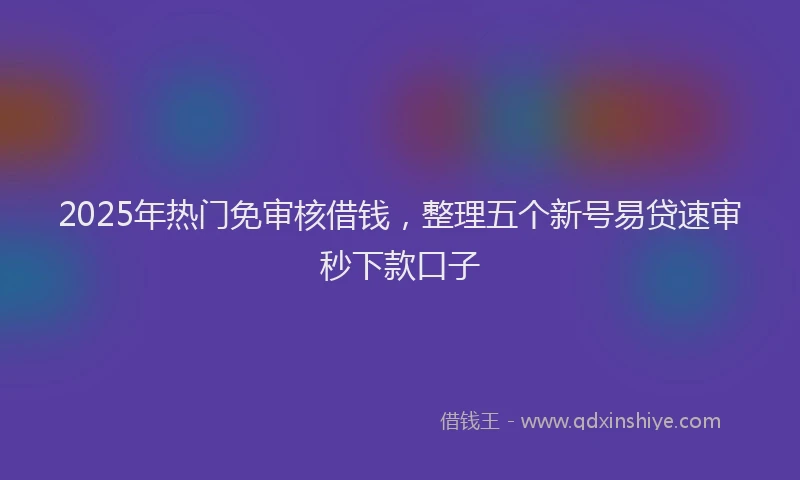 2025年热门免审核借钱，整理五个新号易贷速审秒下款口子