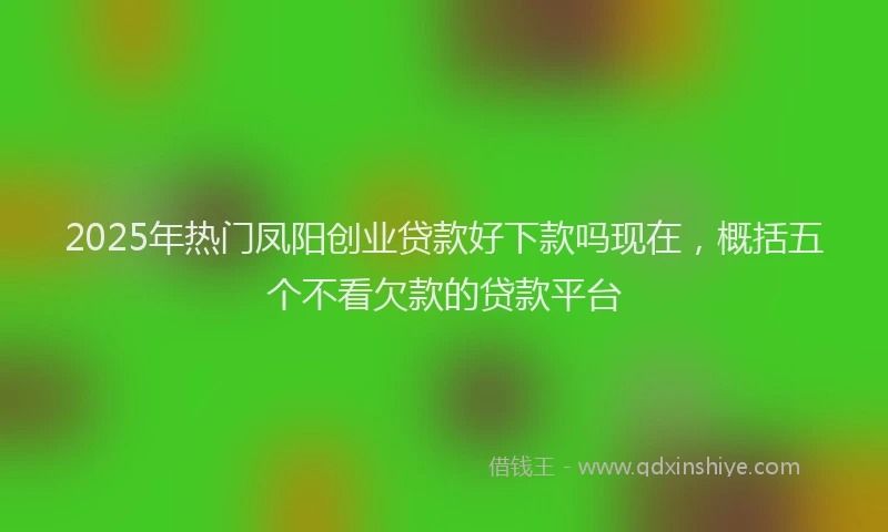 2025年热门凤阳创业贷款好下款吗现在，概括五个不看欠款的贷款平台