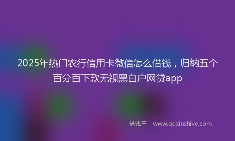 2025年热门农行信用卡微信怎么借钱，归纳五个百分百下款无视黑白户网贷app