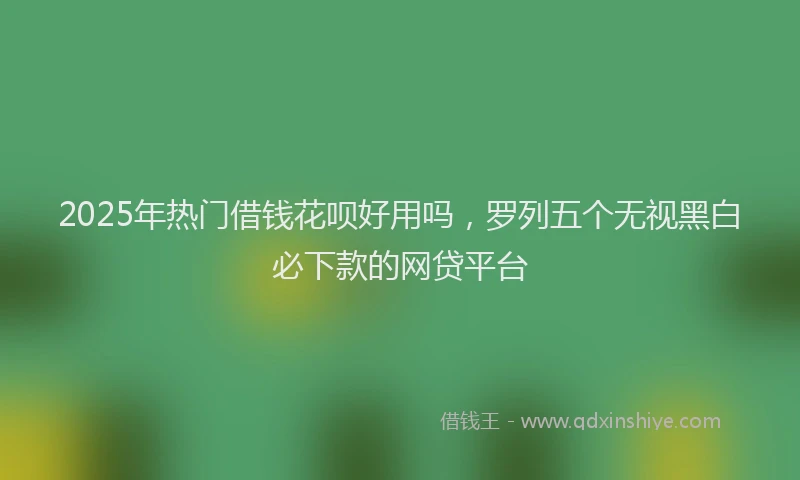 2025年热门借钱花呗好用吗，罗列五个无视黑白必下款的网贷平台