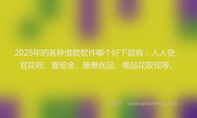 2025年的各种借款软件哪个好下款有：人人贷、宜花呗、壹现金、随意优品、唯品花取现等。