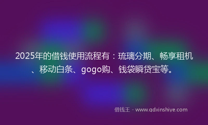 2025年的借钱使用流程有：琉璃分期、畅享租机、移动白条、gogo购、钱袋瞬贷宝等。