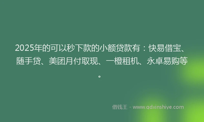 2025年的可以秒下款的小额贷款有：快易借宝、随手贷、美团月付取现、一橙租机、永卓易购等。