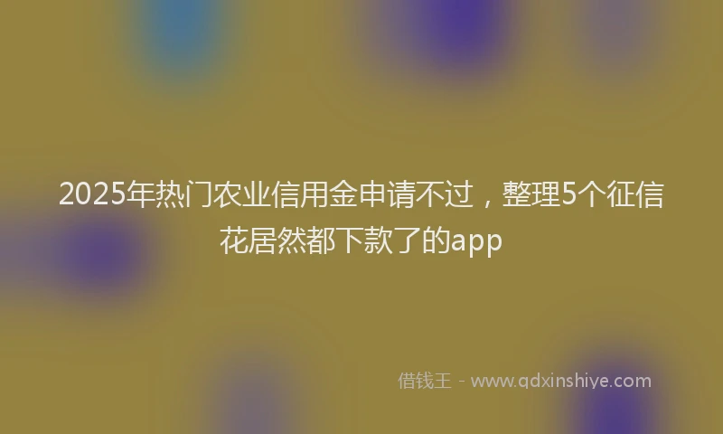 2025年热门农业信用金申请不过，整理5个征信花居然都下款了的app