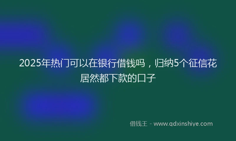2025年热门可以在银行借钱吗，归纳5个征信花居然都下款的口子