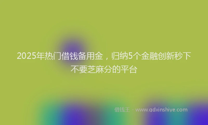 2025年热门借钱备用金，归纳5个金融创新秒下不要芝麻分的平台