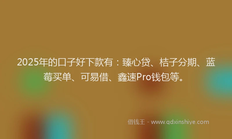 2025年的口子好下款有：臻心贷、桔子分期、蓝莓买单、可易借、鑫速Pro钱包等。