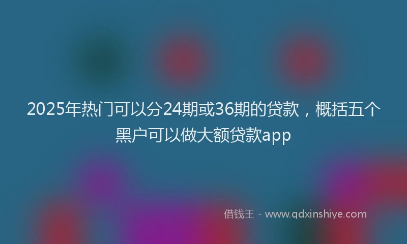 2025年热门可以分24期或36期的贷款，概括五个黑户可以做大额贷款app