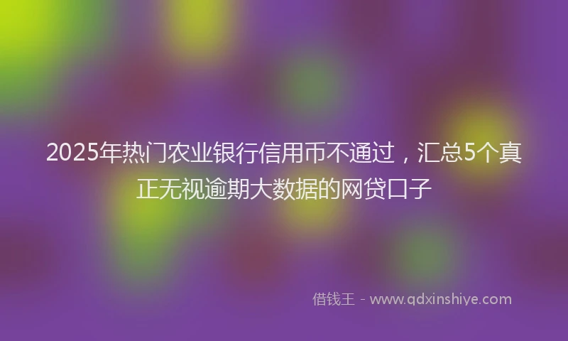 2025年热门农业银行信用币不通过，汇总5个真正无视逾期大数据的网贷口子