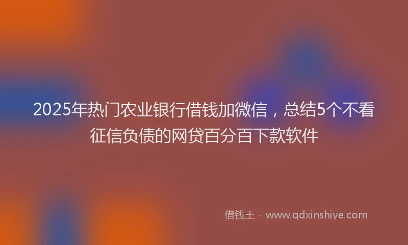 2025年热门农业银行借钱加微信，总结5个不看征信负债的网贷百分百下款软件