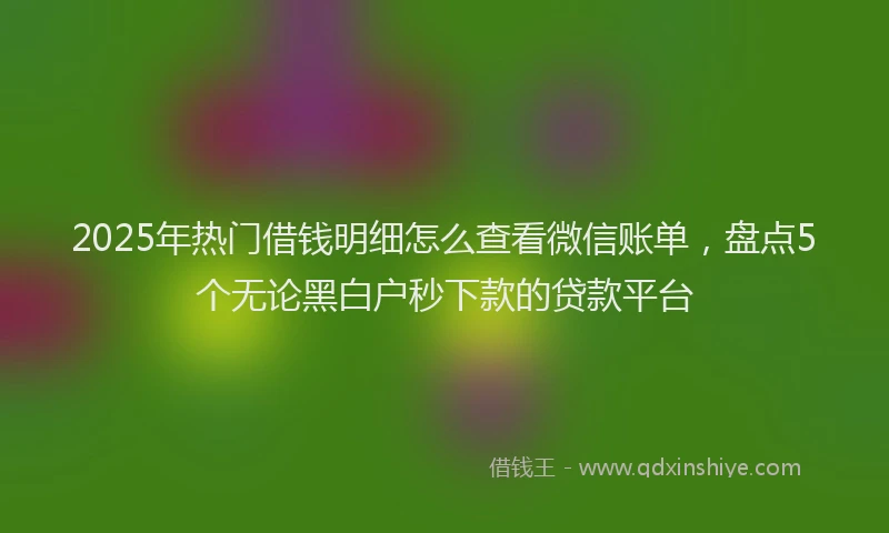 2025年热门借钱明细怎么查看微信账单，盘点5个无论黑白户秒下款的贷款平台