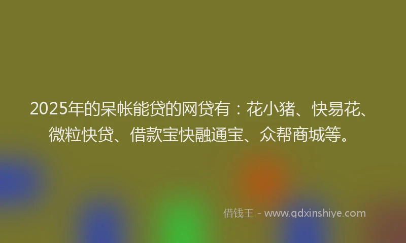 2025年的呆帐能贷的网贷有：花小猪、快易花、微粒快贷、借款宝快融通宝、众帮商城等。