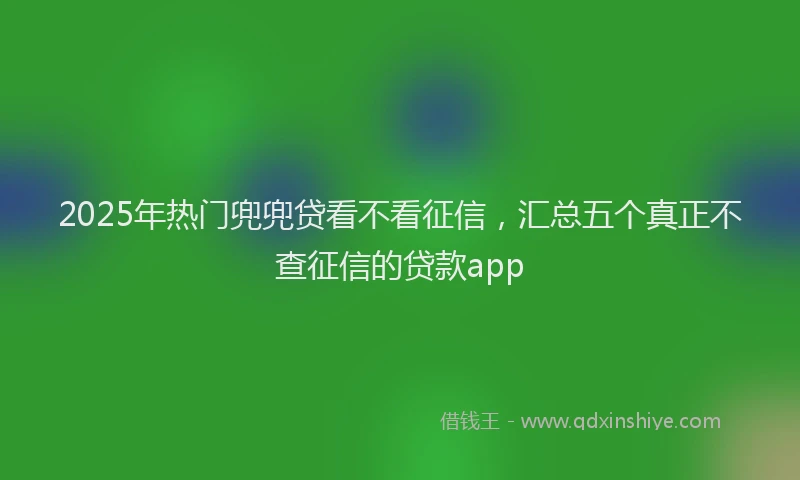 2025年热门兜兜贷看不看征信，汇总五个真正不查征信的贷款app