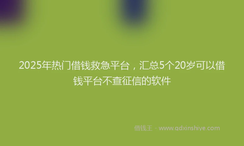 2025年热门借钱救急平台，汇总5个20岁可以借钱平台不查征信的软件
