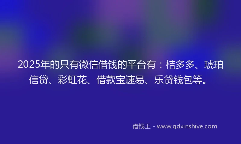 2025年的只有微信借钱的平台有：桔多多、琥珀信贷、彩虹花、借款宝速易、乐贷钱包等。