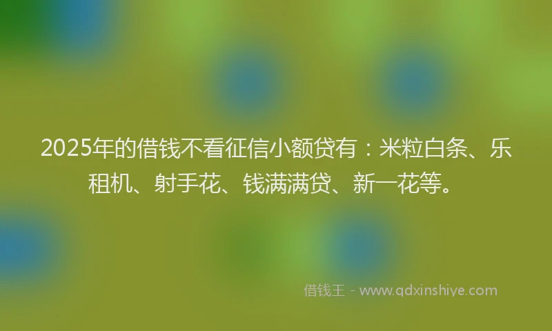 2025年的借钱不看征信小额贷有：米粒白条、乐租机、射手花、钱满满贷、新一花等。