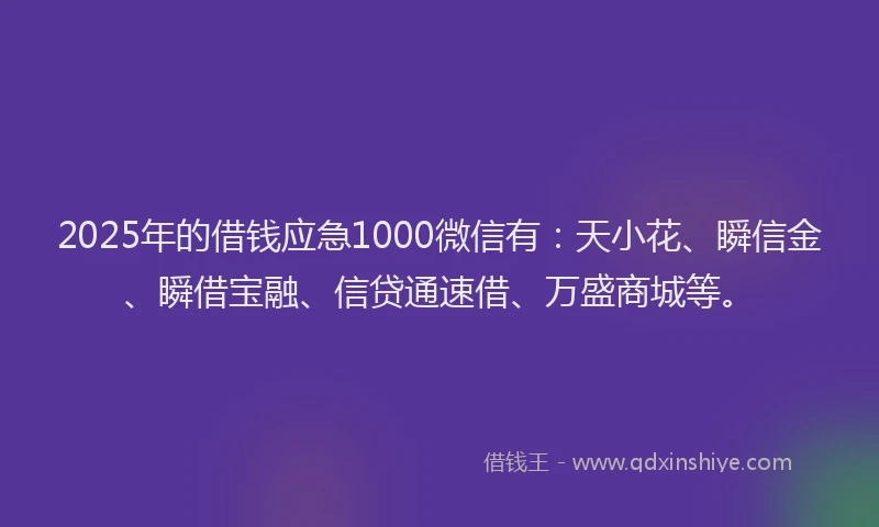 2025年的借钱应急1000微信有：天小花、瞬信金、瞬借宝融、信贷通速借、万盛商城等。