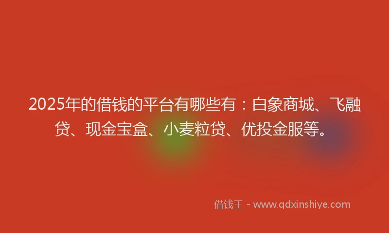 2025年的借钱的平台有哪些有：白象商城、飞融贷、现金宝盒、小麦粒贷、优投金服等。